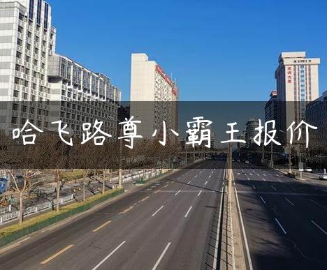 哈飞路尊小霸王报价