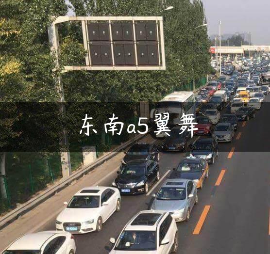 东南a5翼舞