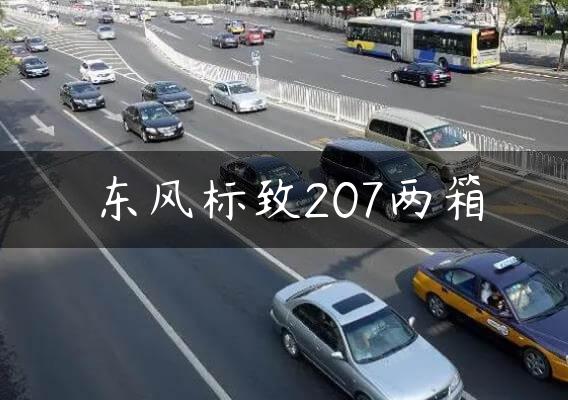 东风标致207两箱