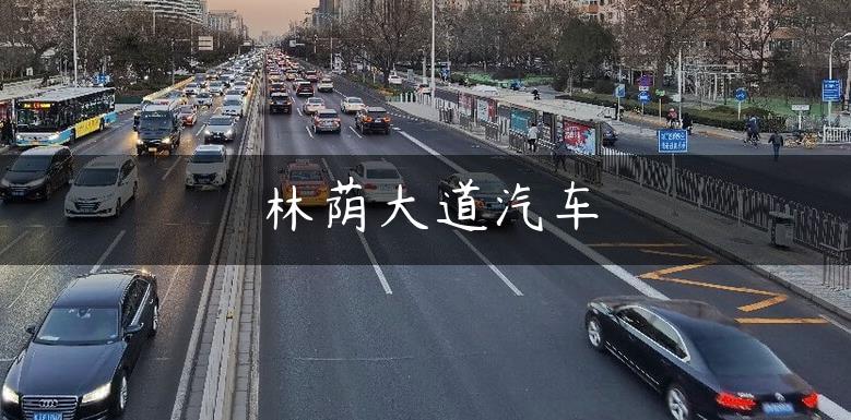 林荫大道汽车