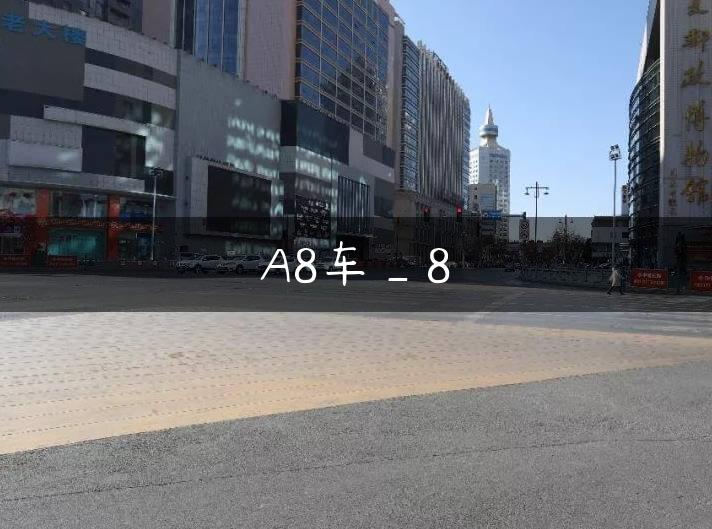 A8车_8