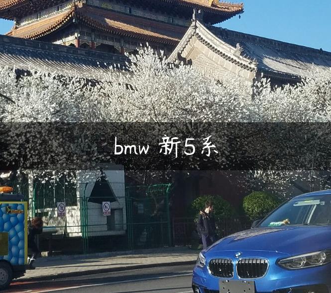 bmw 新5系