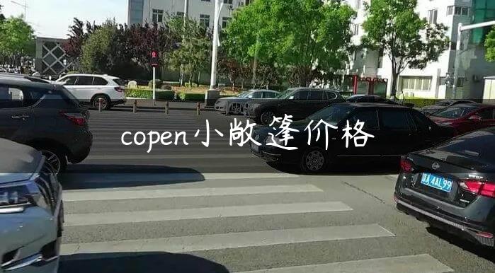 copen小敞篷价格