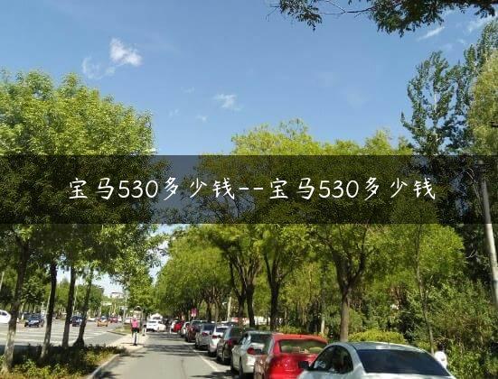 宝马530多少钱–宝马530多少钱