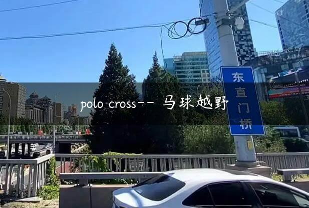 polo cross– 马球越野