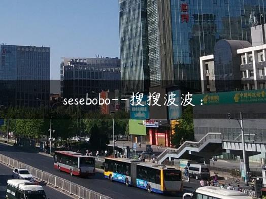 sesebobo–搜搜波波：