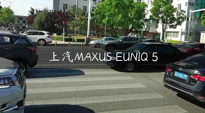 上汽MAXUS EUNIQ 5