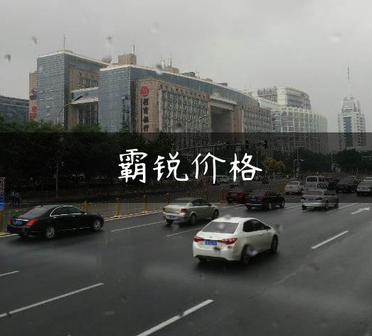 霸锐价格