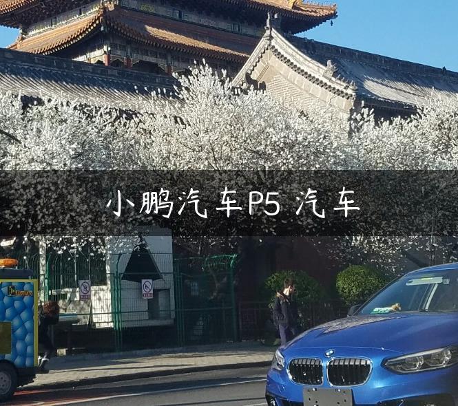 小鹏汽车P5 汽车