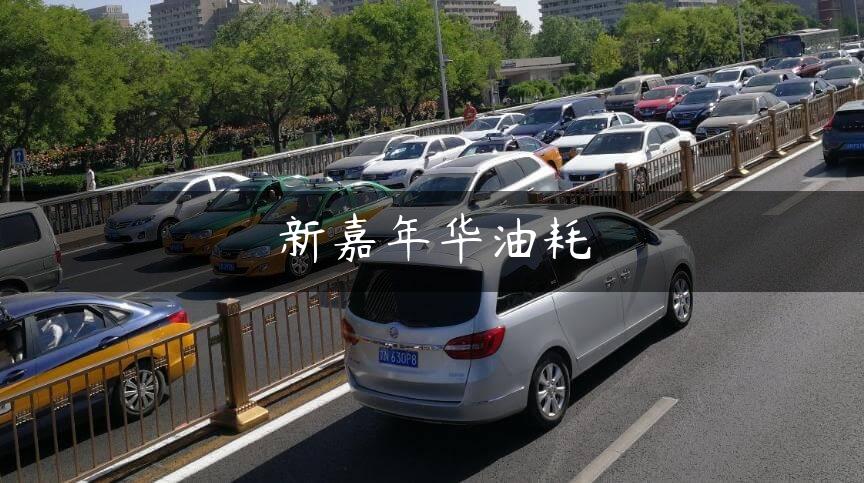 新嘉年华油耗