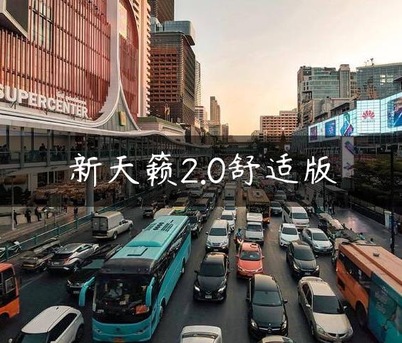 新天籁2.0舒适版