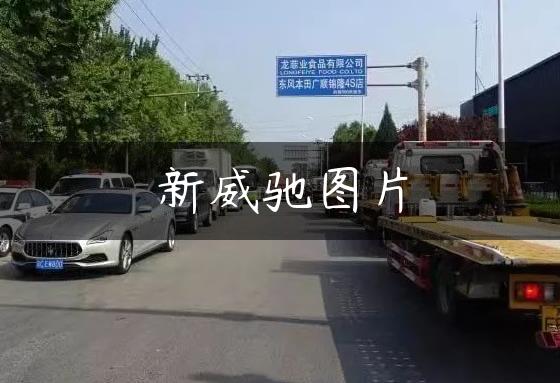 新威驰图片