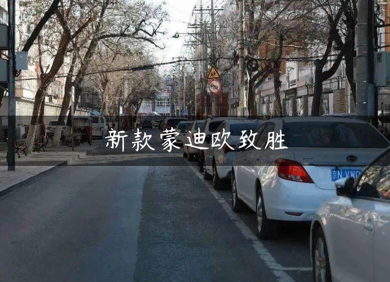 新款蒙迪欧致胜