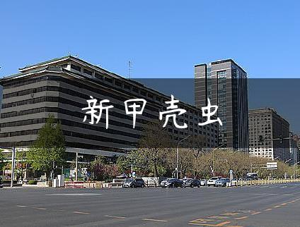 新甲壳虫