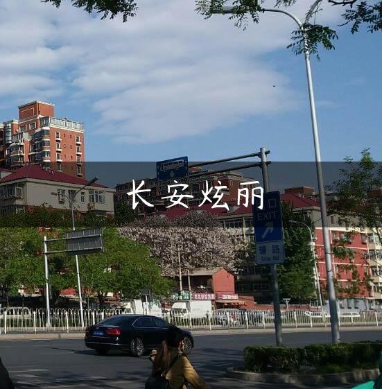 长安炫丽