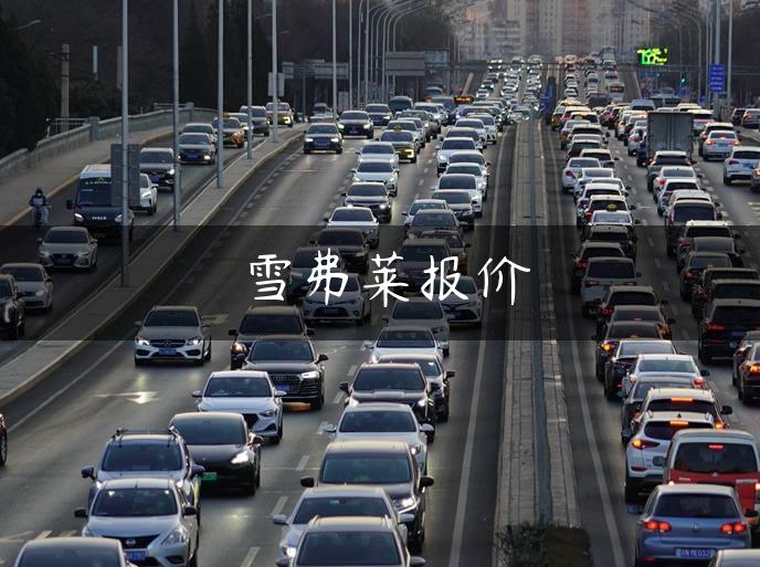 雪弗莱报价