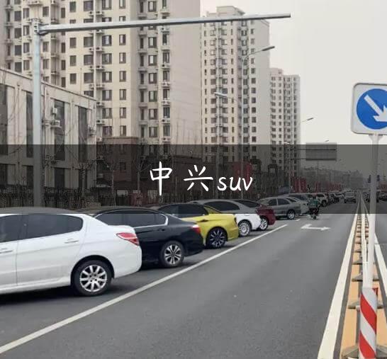 中兴suv