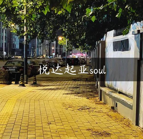 悦达起亚soul