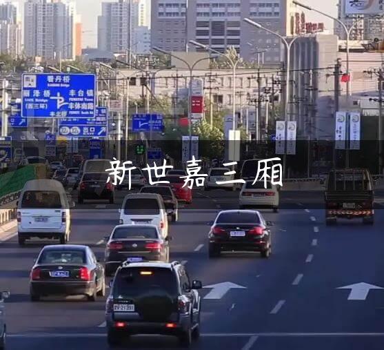 新世嘉三厢