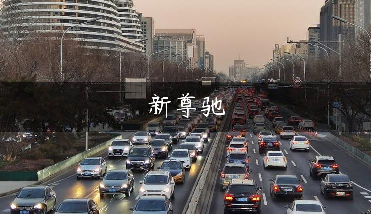 新尊驰