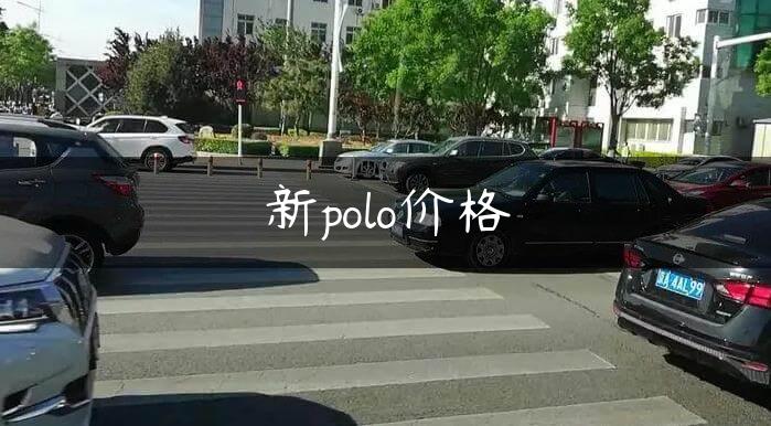 新polo价格