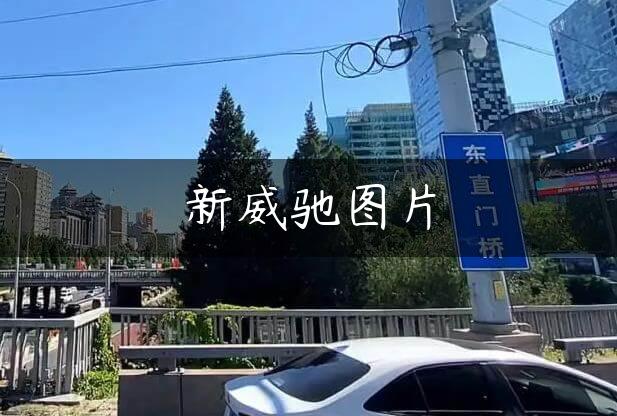 新威驰图片