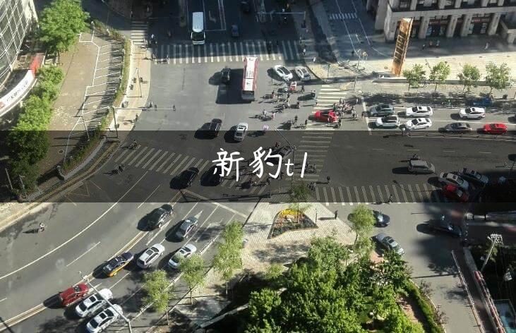 新豹t1