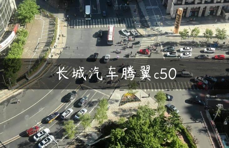 长城汽车腾翼c50
