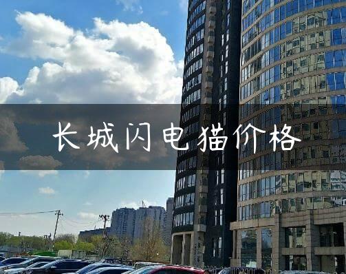 长城闪电猫价格