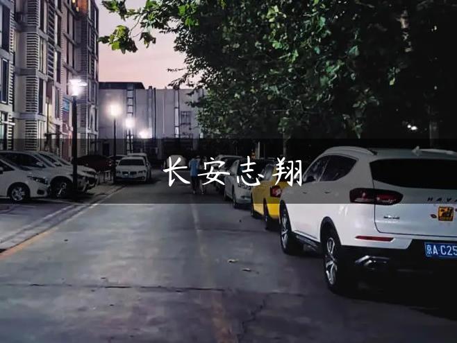长安志翔