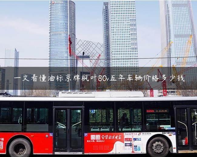 一文看懂油标京牌枫叶80v五年车辆价格多少钱
