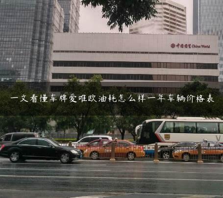 一文看懂车牌爱唯欧油耗怎么样一年车辆价格表