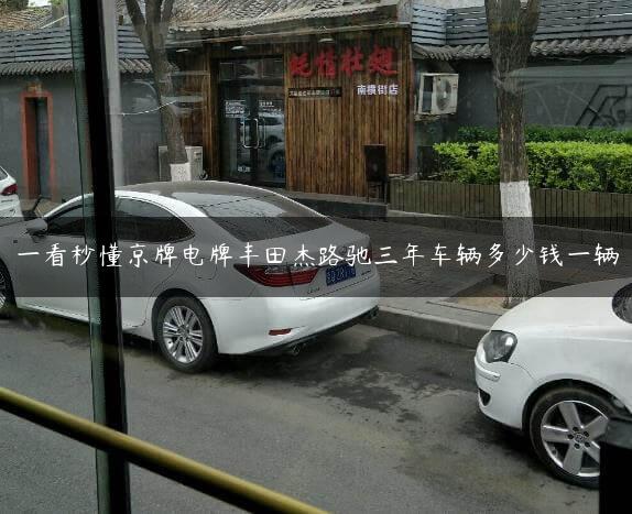一看秒懂京牌电牌丰田杰路驰三年车辆多少钱一辆