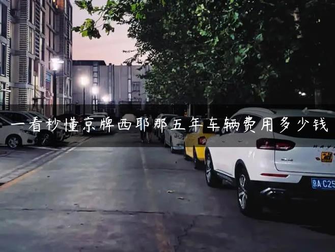 一看秒懂京牌西耶那五年车辆费用多少钱