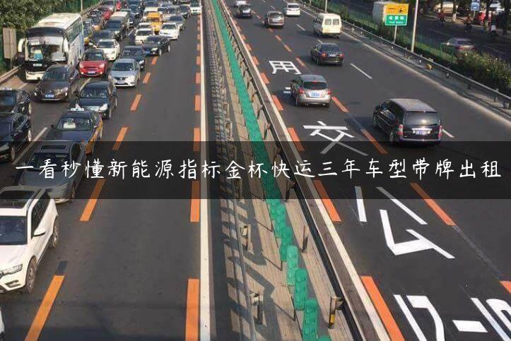 一看秒懂新能源指标金杯快运三年车型带牌出租