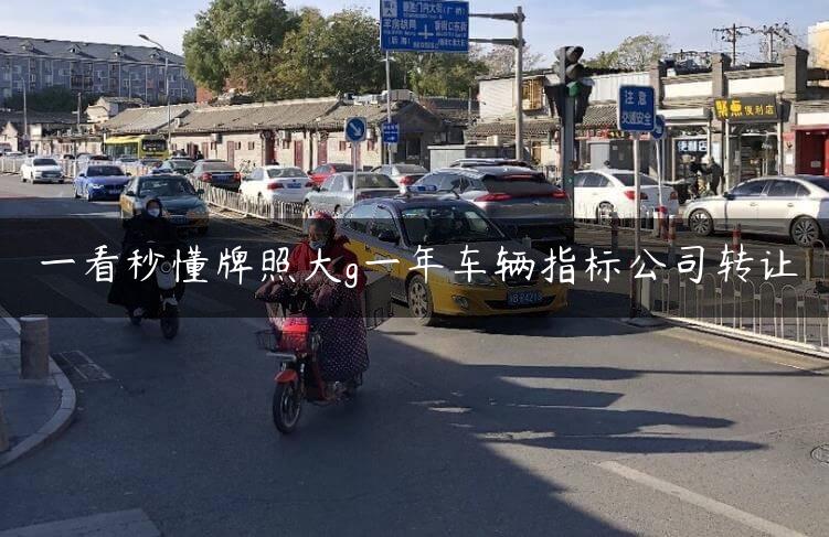 一看秒懂牌照大g一年车辆指标公司转让