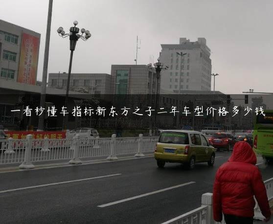 一看秒懂车指标新东方之子二年车型价格多少钱