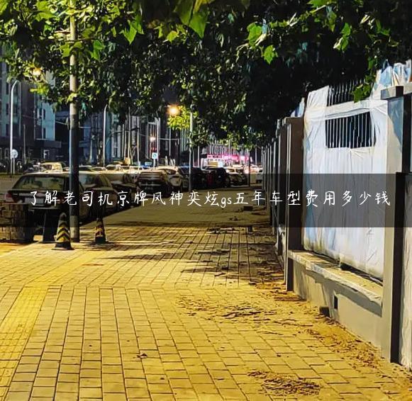 了解老司机京牌风神奕炫gs五年车型费用多少钱