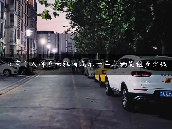 北京个人牌照西雅特汽车一年车辆能租多少钱