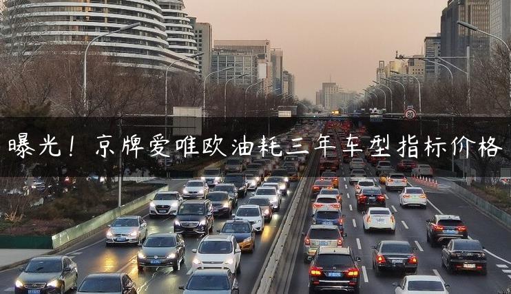曝光！京牌爱唯欧油耗三年车型指标价格