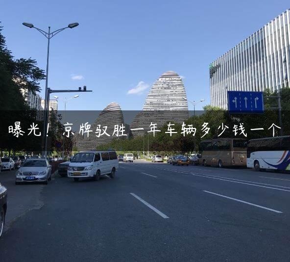 曝光！京牌驭胜一年车辆多少钱一个