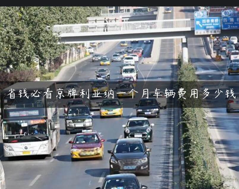 省钱必看京牌利亚纳一个月车辆费用多少钱