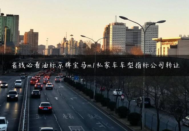 省钱必看油标京牌宝马m1私家车车型指标公司转让