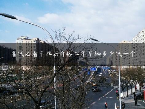 省钱必看车牌q5价格二年车辆多少钱一个