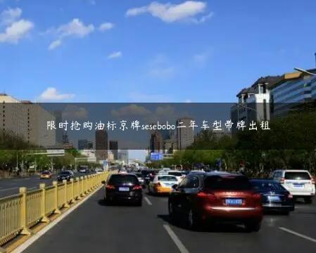 限时抢购油标京牌sesebobo二年车型带牌出租