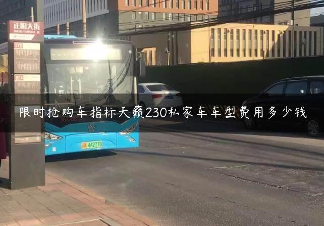 限时抢购车指标天籁230私家车车型费用多少钱