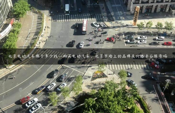 北京电动汽车牌子多少钱–X电动汽车，北京市场上的品牌及价格平谷限号吗