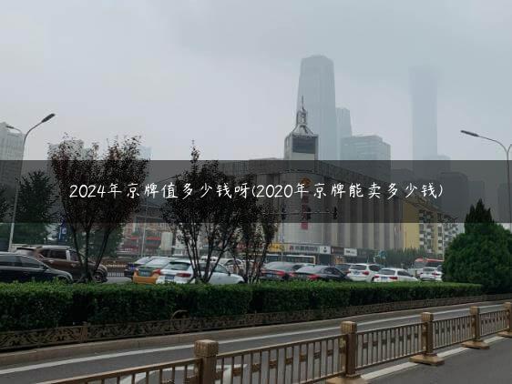 2024年京牌值多少钱呀(20X京牌能卖多少钱)