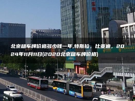 北京租车牌价格多少钱一年,特斯拉，比亚迪，2024年11月11日(2020北京租车牌价格)