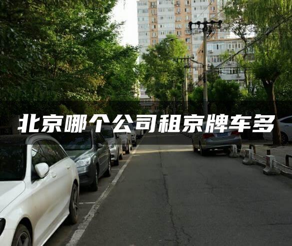 北京哪个公司租京牌车多
